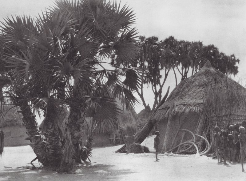 Africa: Villaggio Shilluk sul Nilo Bianco da Hugo Adolf Bernatzik