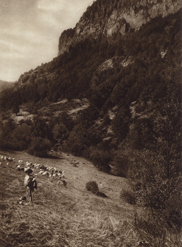 Messico: La Canada, Contreras, D F (foto b/n) da Hugo Brehme