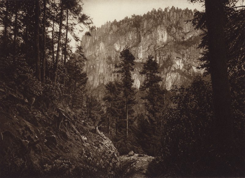 Messico: La Canada, Contreras, D F (foto b/n) da Hugo Brehme