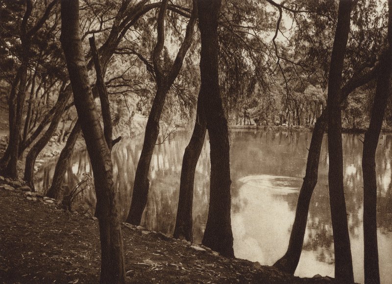 Messico: Las fuentes de Tlalpam D F (foto b/n) da Hugo Brehme