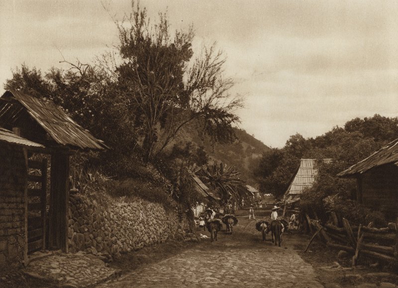 Messico: I dintorni di Uruapam (foto b/n) da Hugo Brehme