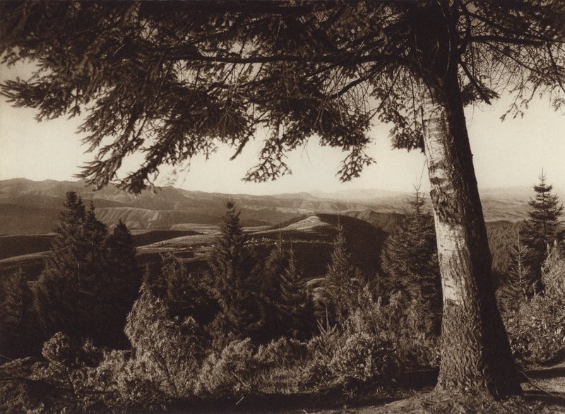 Messico: Parco nazionale, Desierto de los Leones (foto b/n) da Hugo Brehme