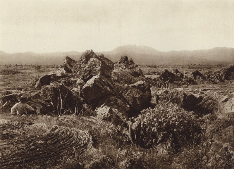 Messico: Pedregal, Corriente de basalto-lava vicino a San Angel (foto b/n) da Hugo Brehme