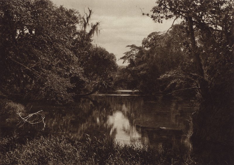 Messico: Tamasopo, Panorama del rio, Stato di Vera Cruz (foto b/n) da Hugo Brehme