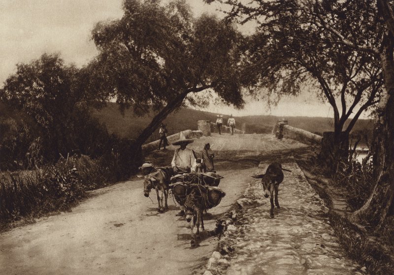 Messico: Una strada nelle montagne del Messico (foto b/n) da Hugo Brehme