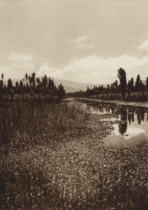 Messico: Xochimilco, uno dei canali principali (foto b/n) da Hugo Brehme
