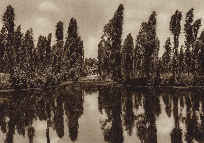 Messico: Xochimilco con i cosiddetti "Giardini galleggianti" (foto b/n) da Hugo Brehme