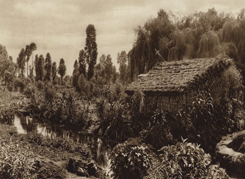 Messico: Xochimilco con i cosiddetti "Giardini galleggianti" (foto b/n) da Hugo Brehme