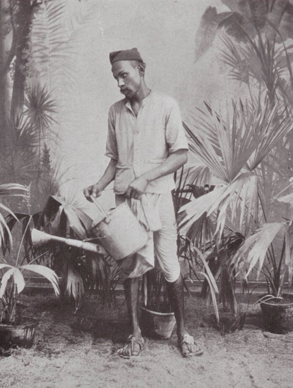 Bombay / Mumbai: giardiniere (foto b/n) da Indian photographer