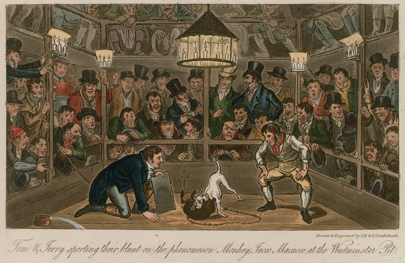 Tom e Jerry che si divertono con il fenomeno della scimmia, Jacco Macacco, al Westminster Pit da Isaac, Robert and George Cruikshank