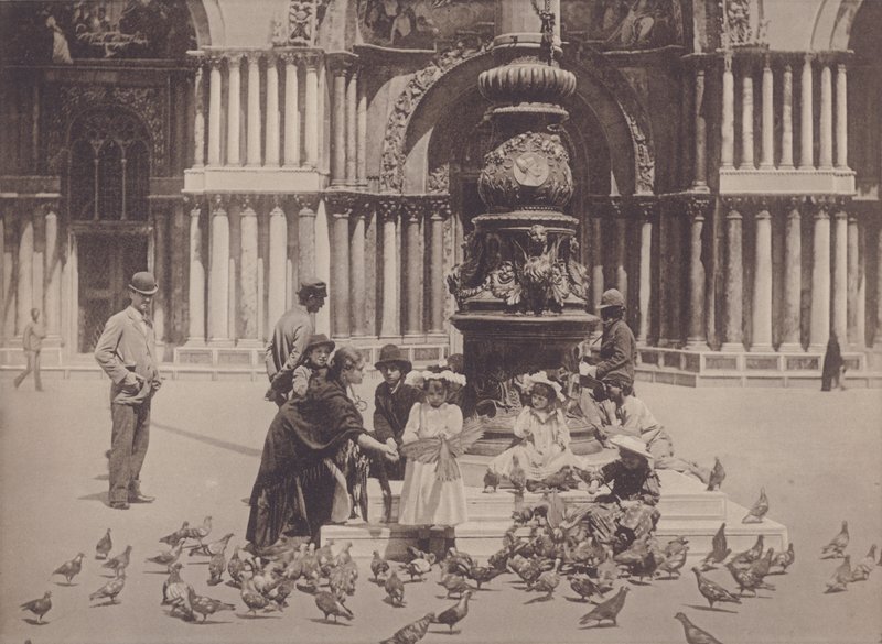 Piccioni da Italian Photographer
