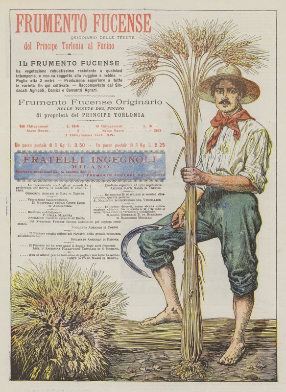 Frumento Fucense da Italian School