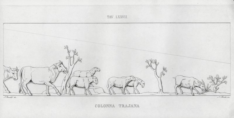 La Colonna Traiana da Italian School