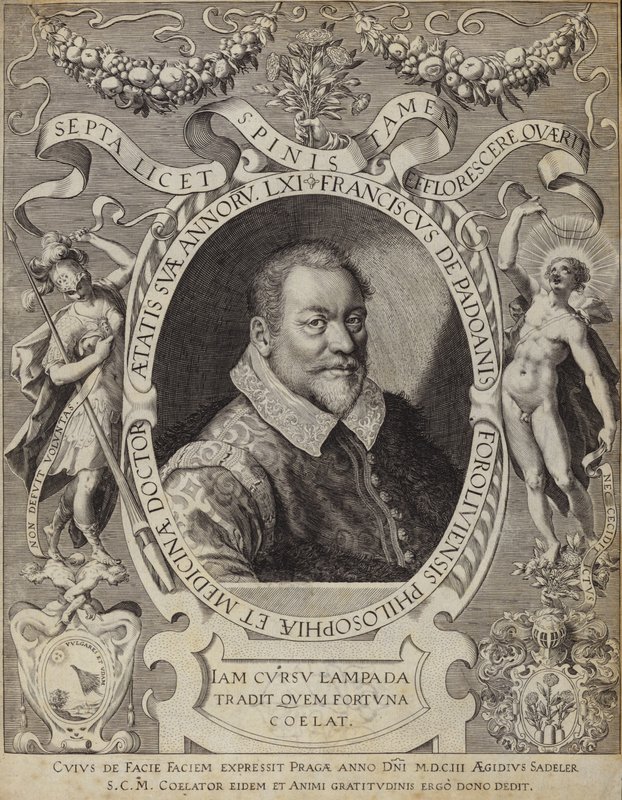 Ritratto di Franciscus de Padoanis Foroliviensis da Italian School