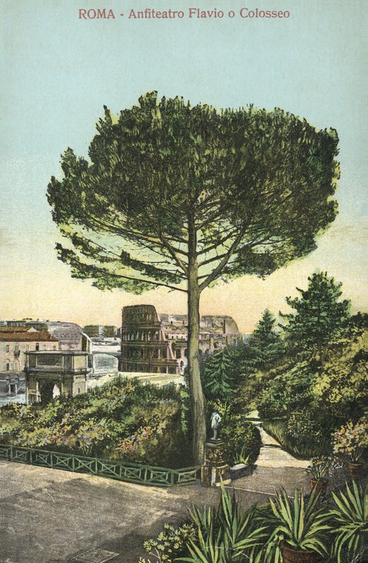 Roma, Italia, Anfiteatro e Colosseo (litografia a colori) da Italian School