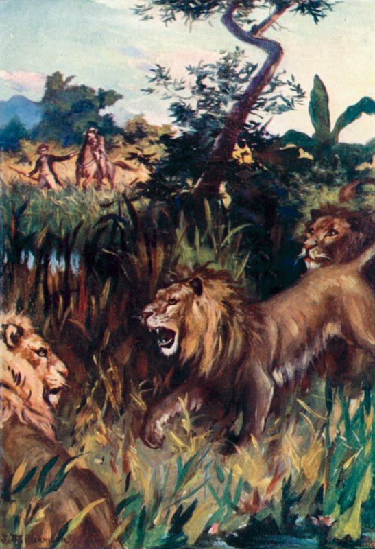 Mungo Park, Un pericolo frequente da J. Williamson