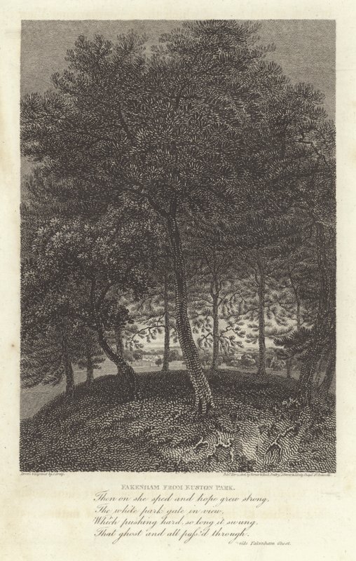Robert Bloomfield, poeta: Fakenham da Euston Park da J. Greig