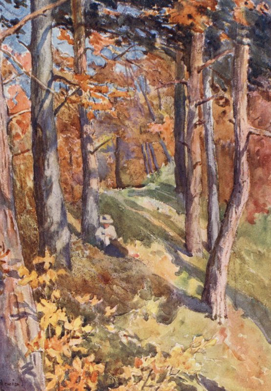 Nella foresta di Sauvabelin, sopra Losanna da J. Hardwicke Lewis