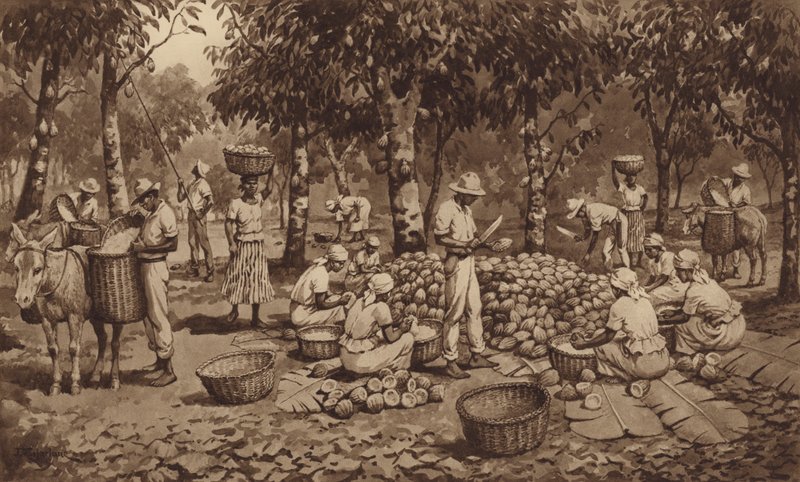 Rompere i baccelli di cacao a Trinidad da J. Macfarlane