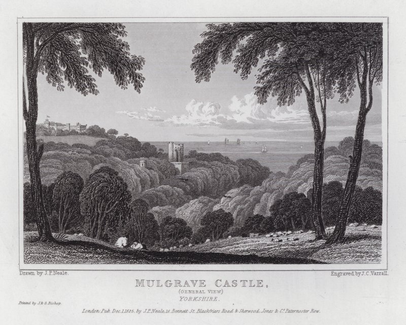 Castello di Mulgrave, vista generale, Yorkshire da John Preston Neale