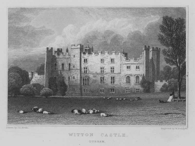 Castello di Witton, Durham da John Preston Neale