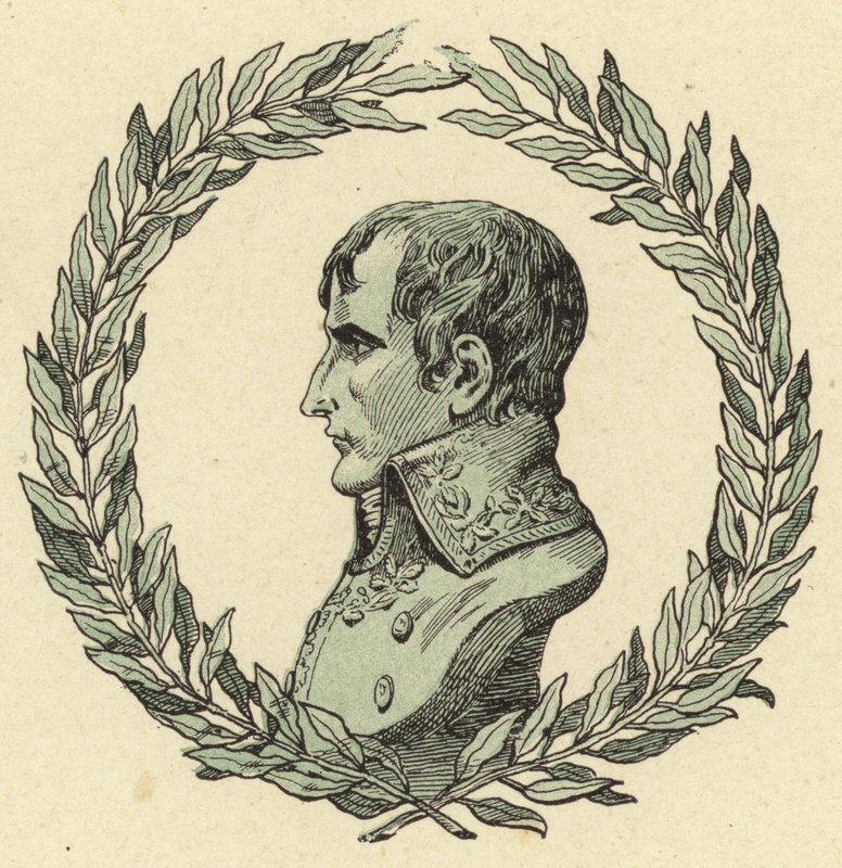 Busto di Napoleone Bonaparte da Jacques Marie Gaston Onfray de Breville (Job)