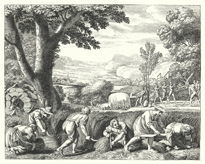 Scena di raccolto da Jacques Stella