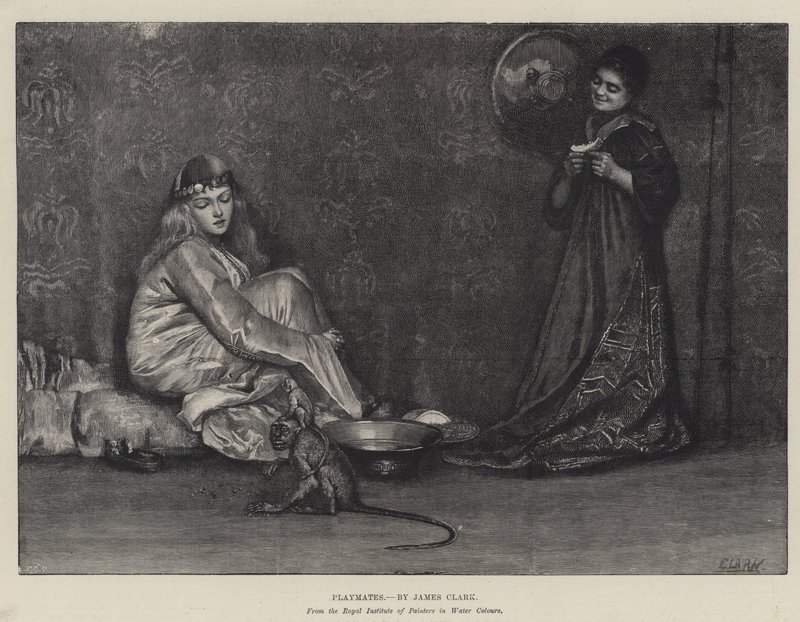 Compagni di gioco da James Clark