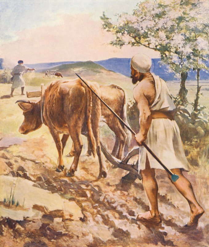 Terra Santa: aratura vicino a Nazareth da James (after) Clark