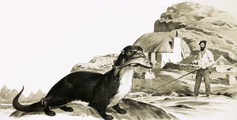 Lontra con pesce e uomo che pesca da James Edwin McConnell