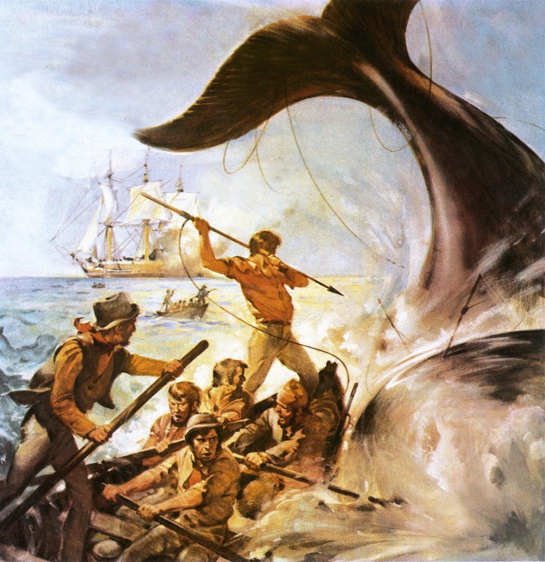 Pietro il Baleniere da James Edwin McConnell