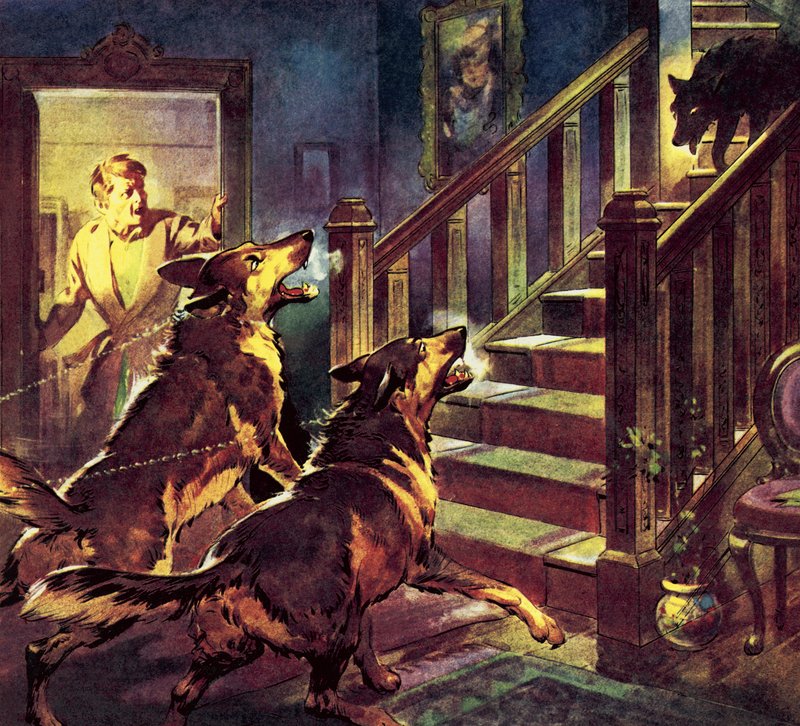 Il fantasma del cane nero da James Edwin McConnell