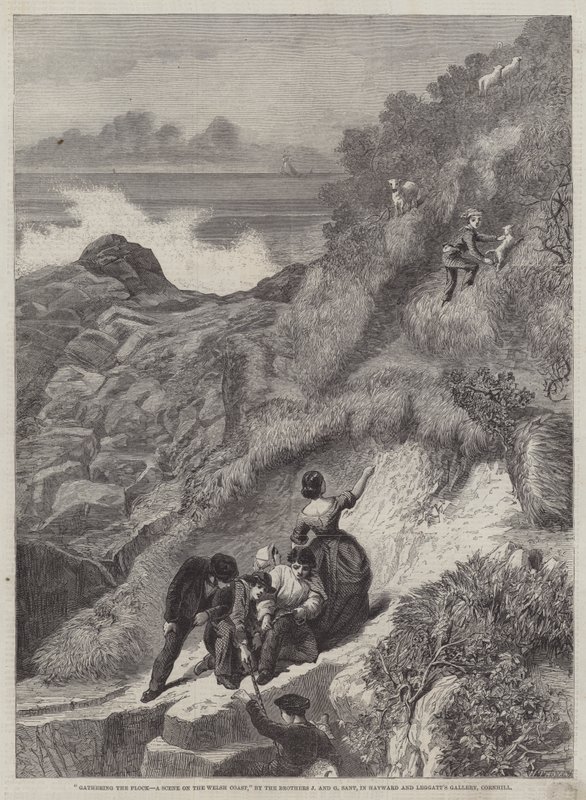 Raccolta dei greggi, una scena sulla costa gallese da James Sant