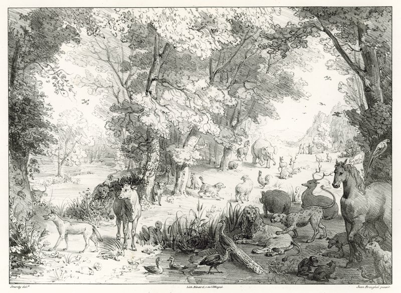 Terra: il Paradiso Terrestre da Jan the Elder Brueghel