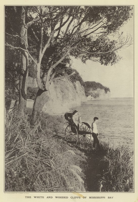 Le bianche e boscose scogliere della Baia del Mississippi da Japanese Photographer