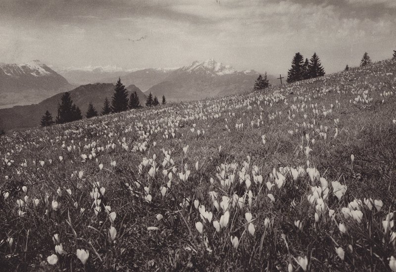 Rigi Kaltbad, Primavera da Jean Gaberell