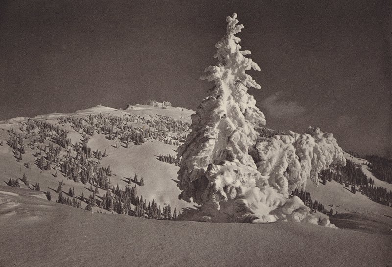 Rigi Kaltbad, Skigelande fino a Rigi Kulm da Jean Gaberell