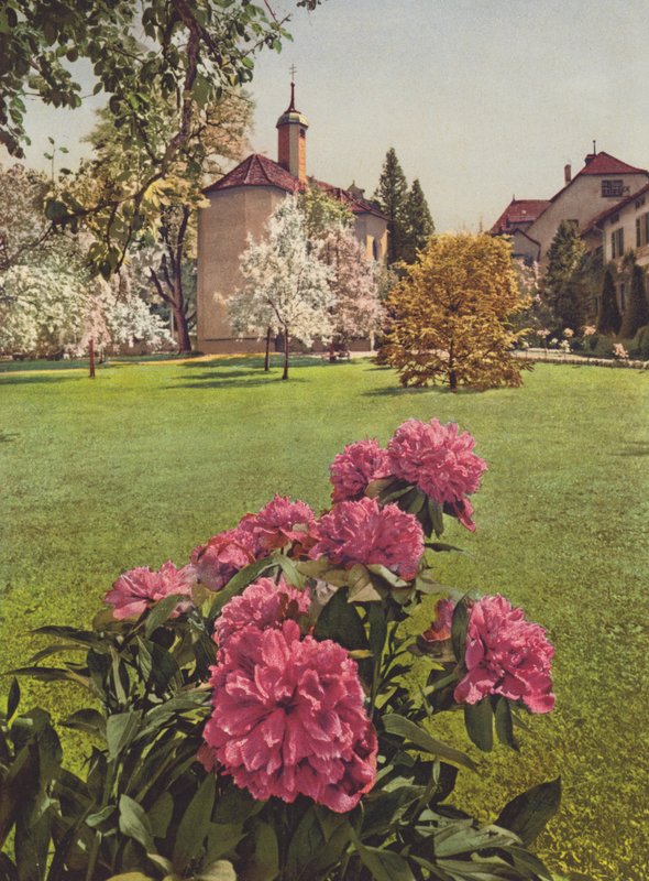 Svizzera: Mammern sul Lago di Costanza, nei giardini del sanatorio da Jean Gaberell