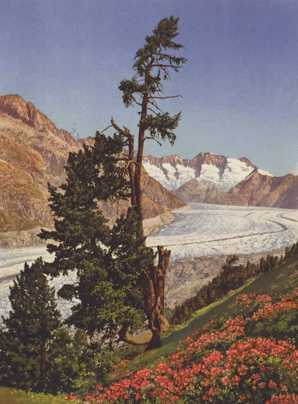 Svizzera: Vista del ghiacciaio dell