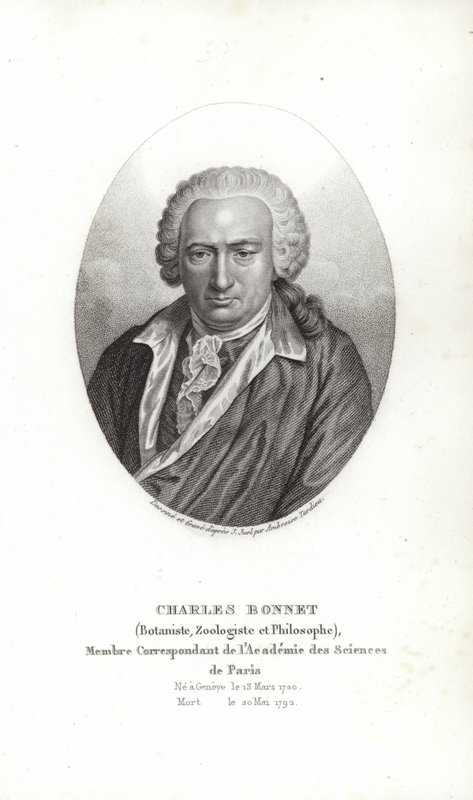Charles Bonnet da Jens Juel