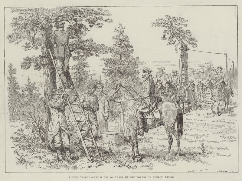 Fissaggio dei fili telegrafici sugli alberi nella foresta di Lublino, Russia da Johann Nepomuk Schonberg