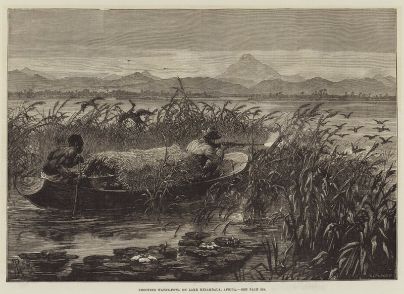 Caccia agli uccelli acquatici sul lago Mirambala, Africa da Johann Nepomuk Schonberg