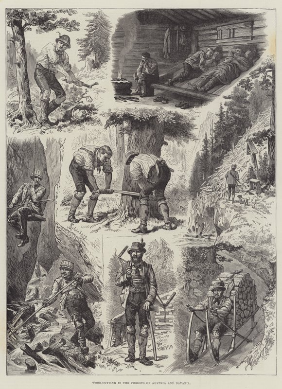 Taglio del legno nelle foreste di Austria e Baviera da Johann Nepomuk Schonberg