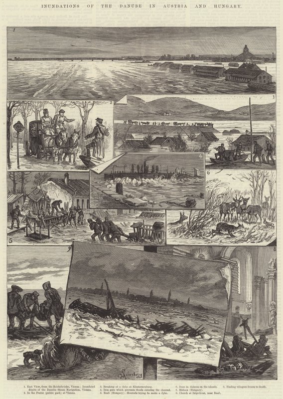 Inondazioni del Danubio in Austria e Ungheria da Johann Nepomuk Schonberg