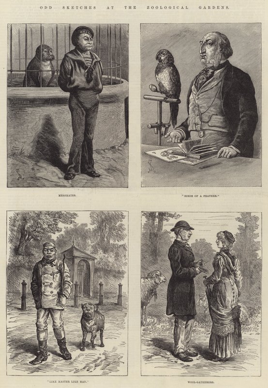 Schizzi strani allo zoo da Johann Nepomuk Schonberg
