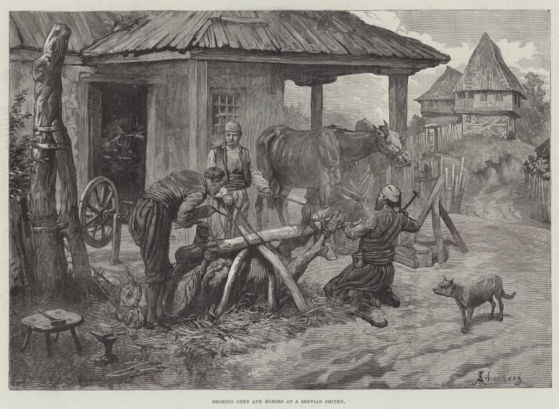 Ferratura di buoi e cavalli in una fucina serba da Johann Nepomuk Schonberg