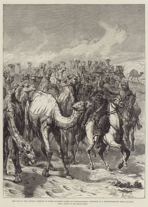 La guerra nel Sudan, cattura di trecento cammelli da parte del maggiore generale Sartorius in una ricognizione da Souakim da Johann Nepomuk Schonberg