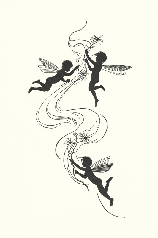 Silhouette di Johanna Beckmann da Johanna Beckmann