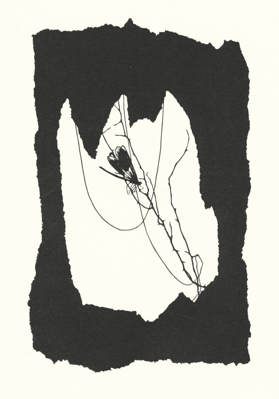 Silhouette di Johanna Beckmann da Johanna Beckmann