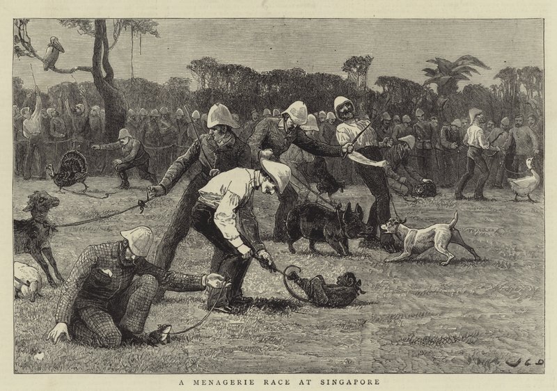 Una corsa di menagerie a Singapore da John Charles Dollman